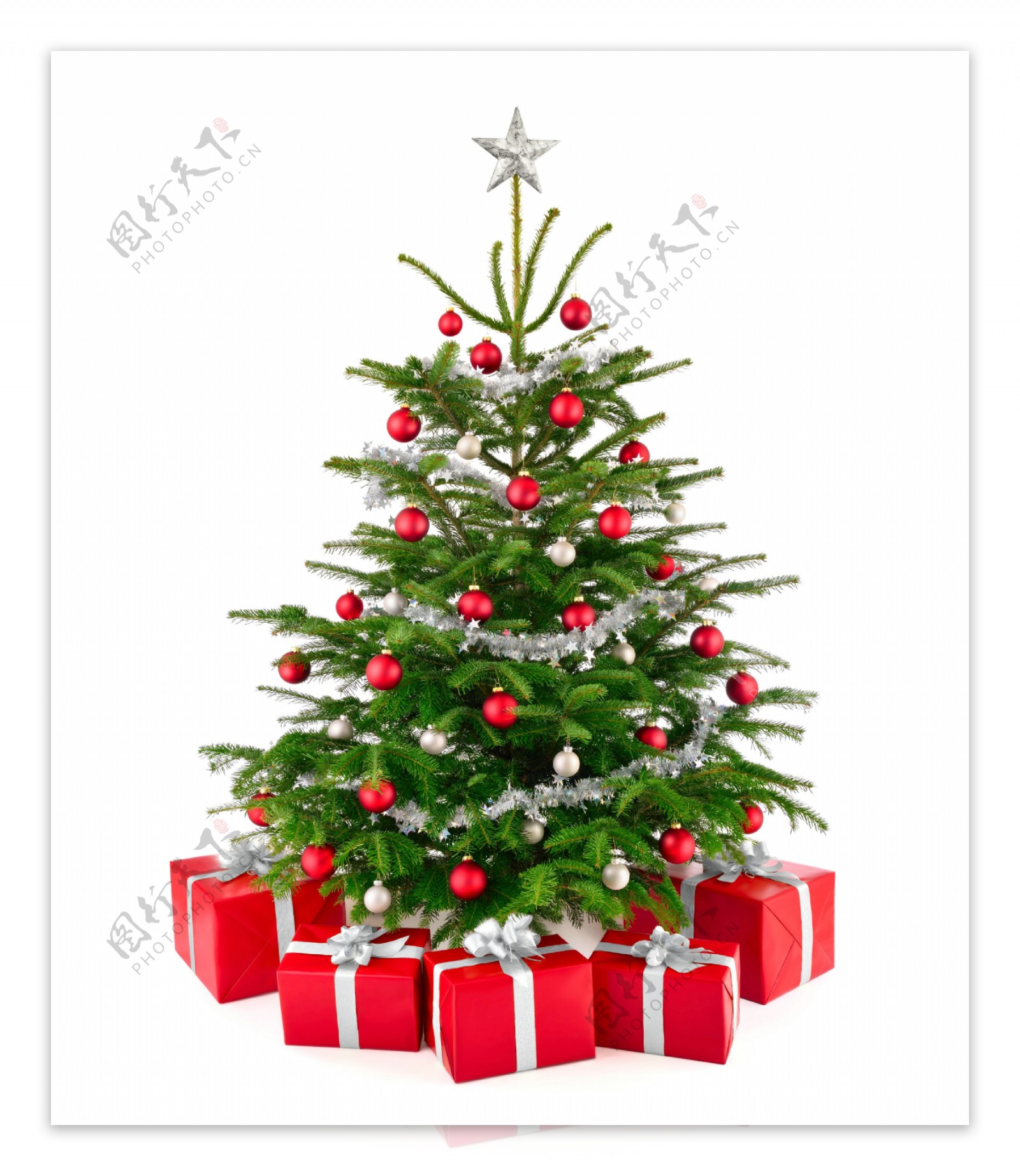 红色礼盒与圣诞树图片