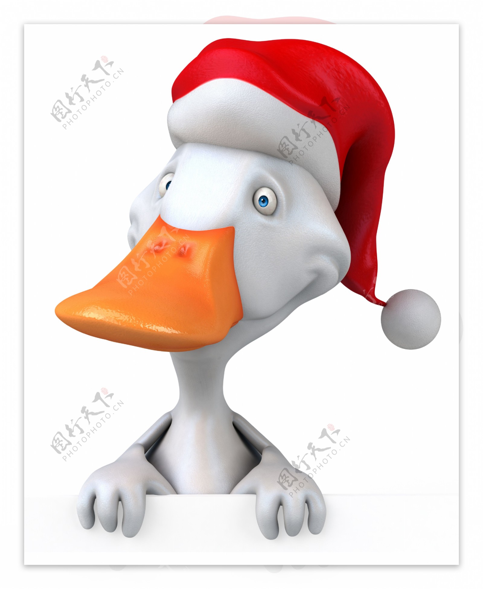 戴着圣诞帽的鸭子图片