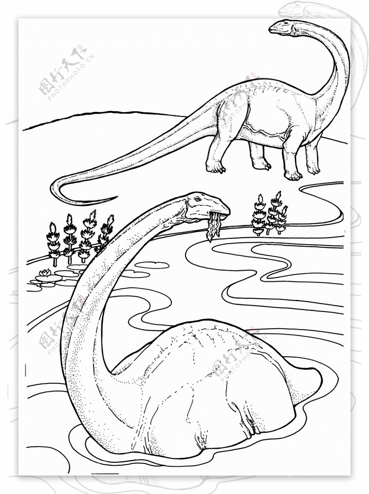 远古时代的动物恐龙手绘画动物素描图片素材-编号26393120-图行天下