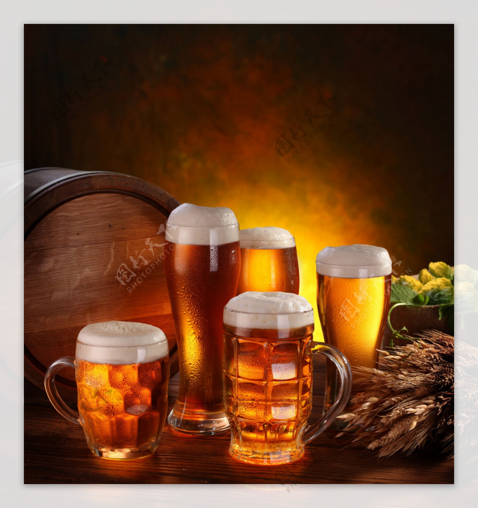 麦穗啤酒花与啤酒图片