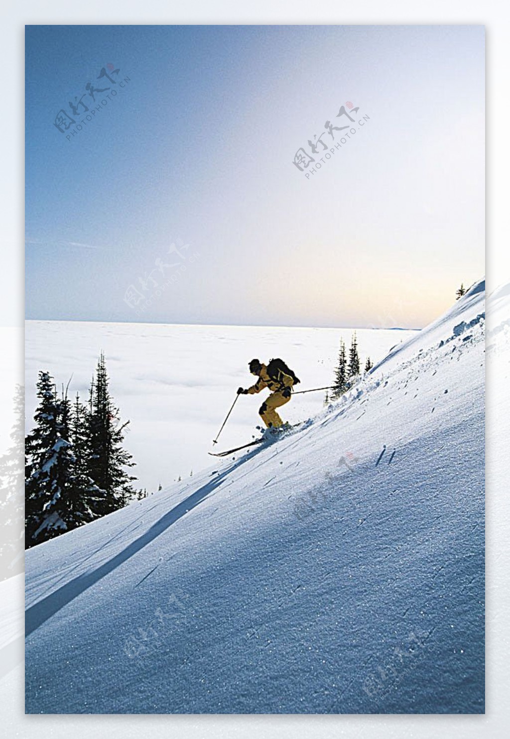 滑雪运动运动员摄影高清图片