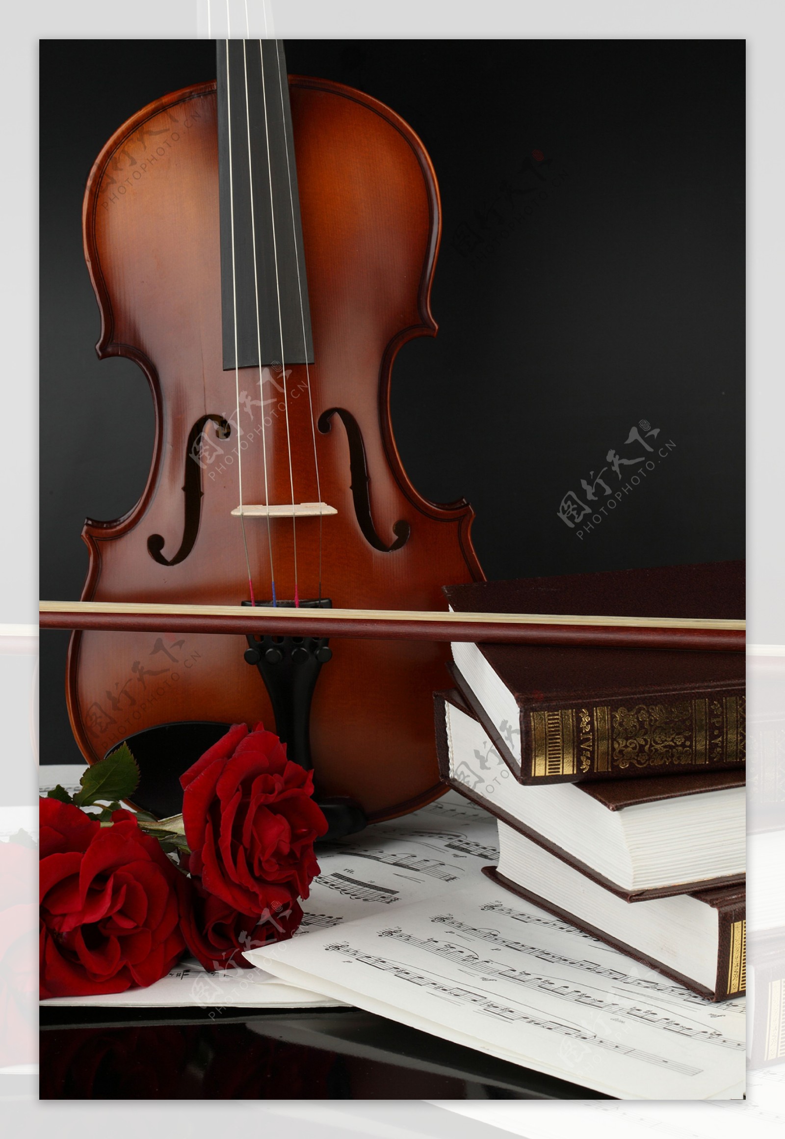 音乐与玫瑰花与小提琴图片