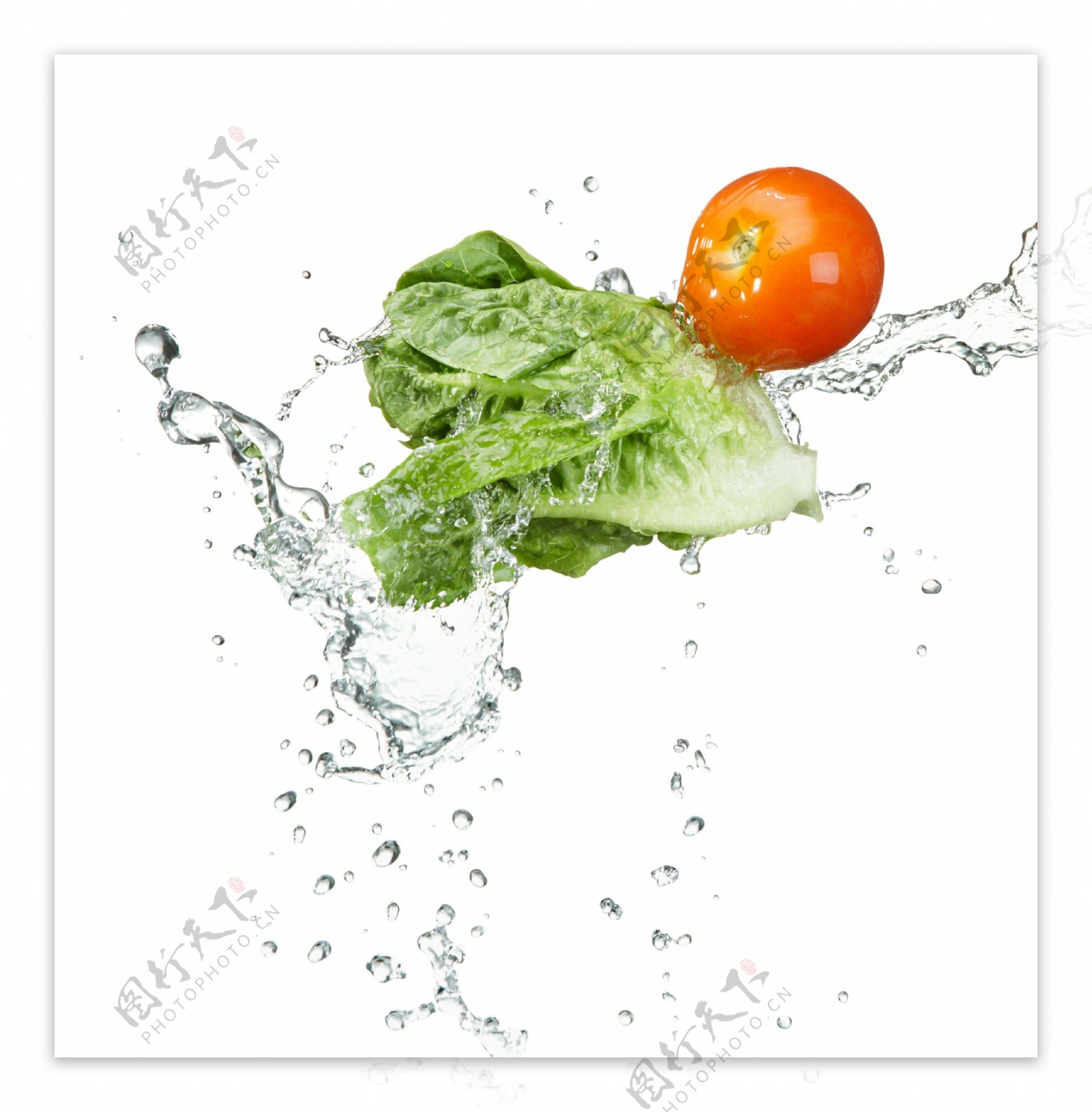 动感水花西红柿和青菜图片