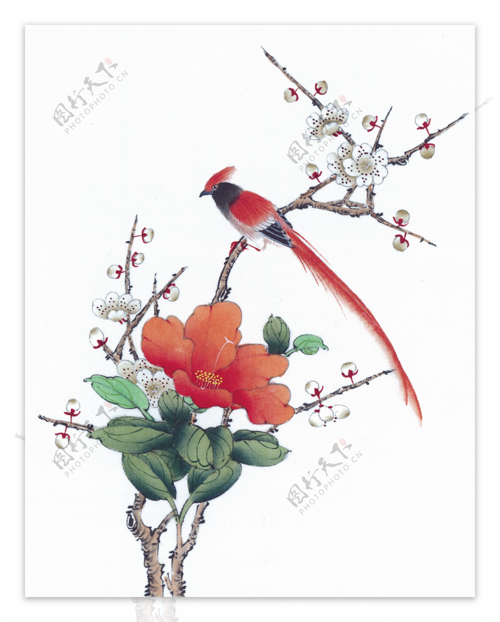 花卉小鸟油画图片