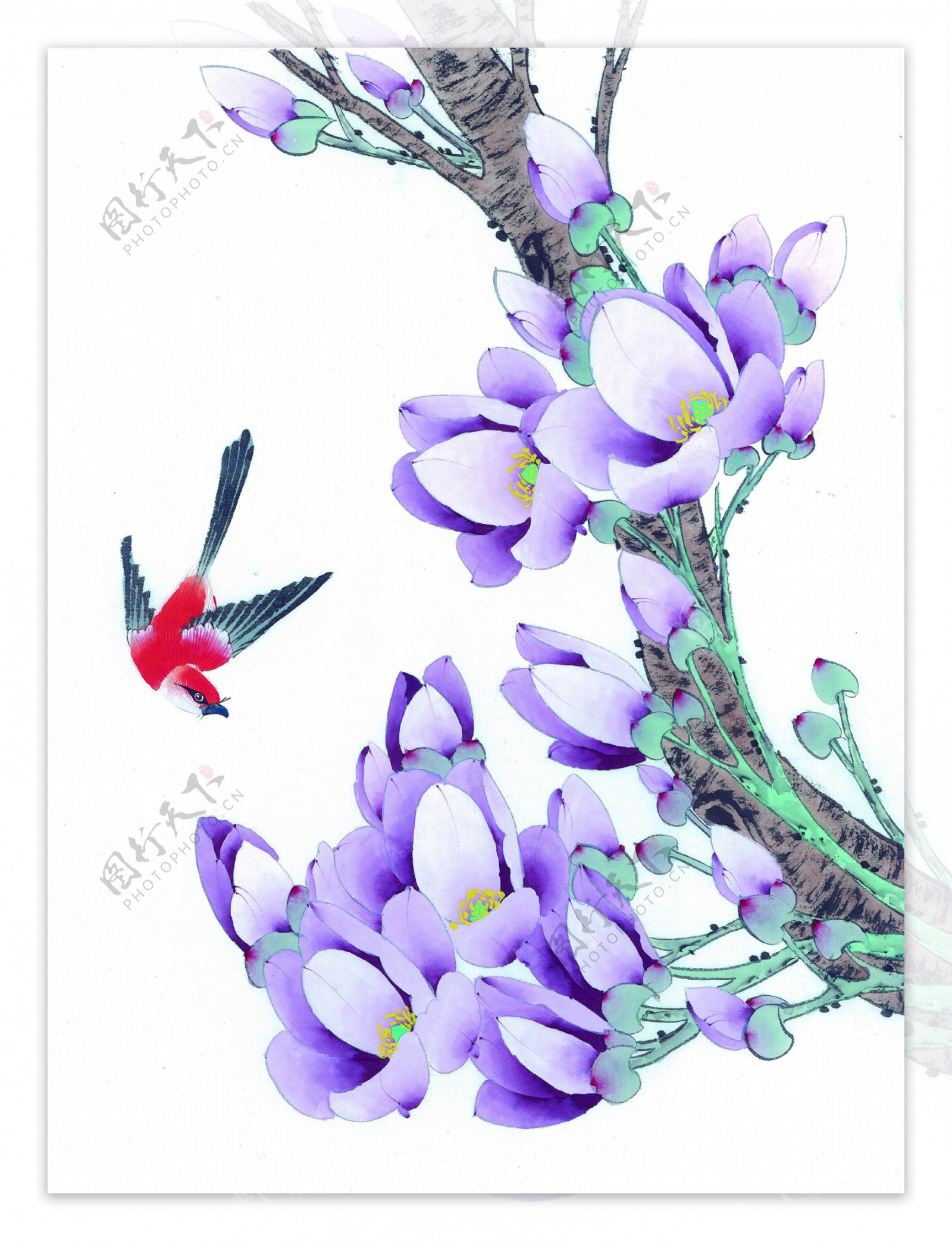 紫色花卉与燕子图片