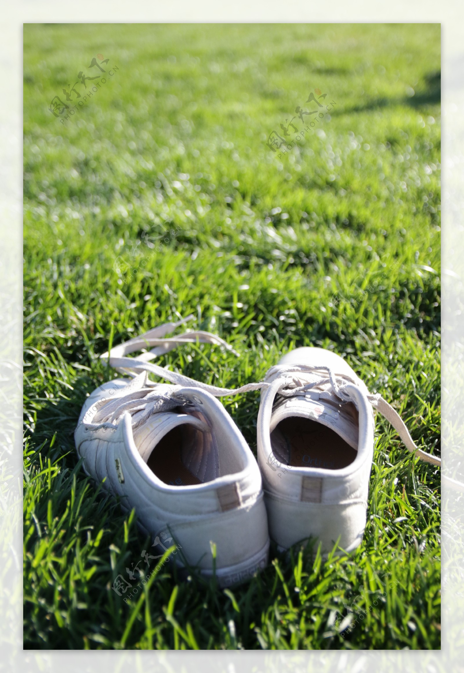 高清草地上鞋子图片素材