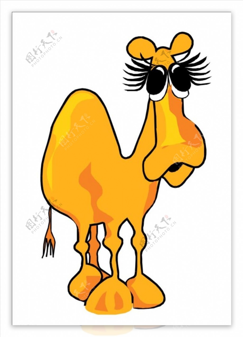 卡通骆驼图片