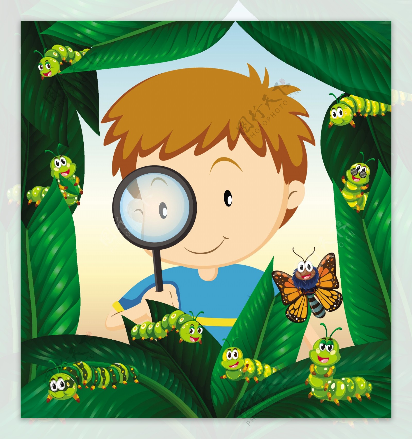 男孩在树叶上观察昆虫的生活