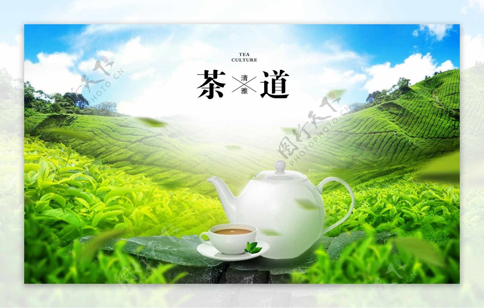 茶道品茶