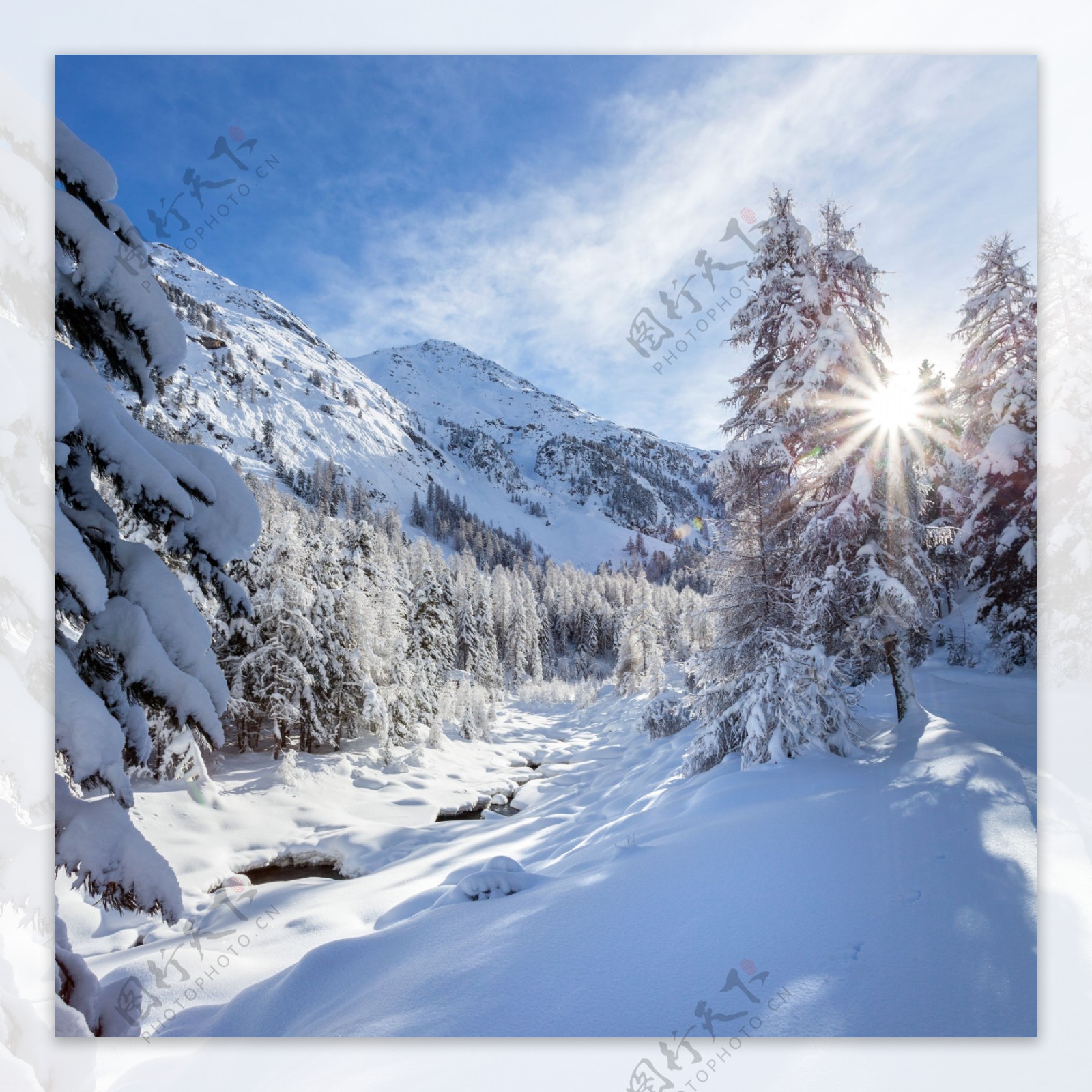 唯美冬季雪景图片