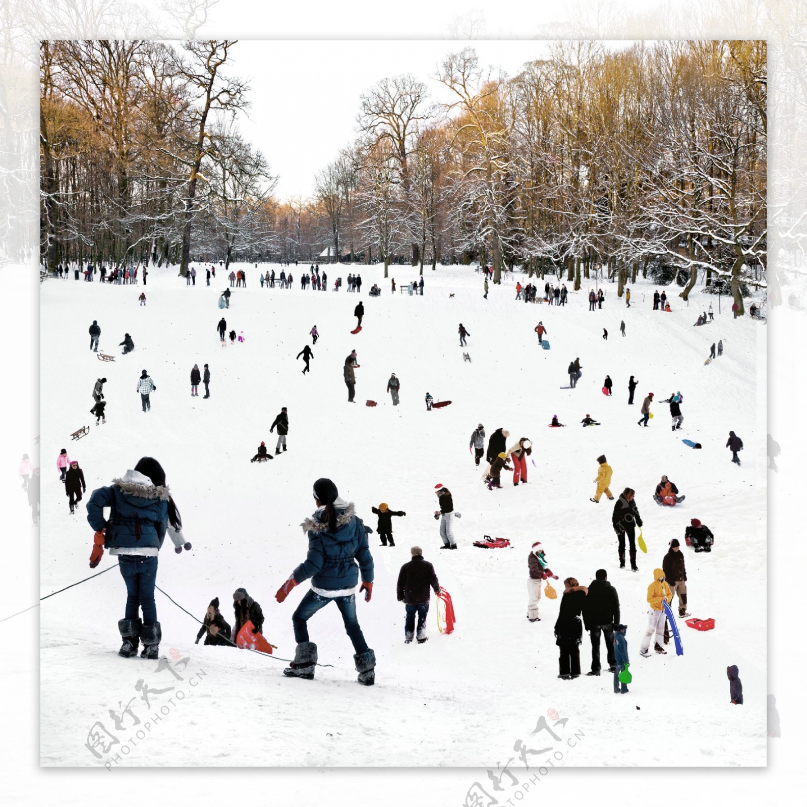 冬天公园的滑雪人们图片