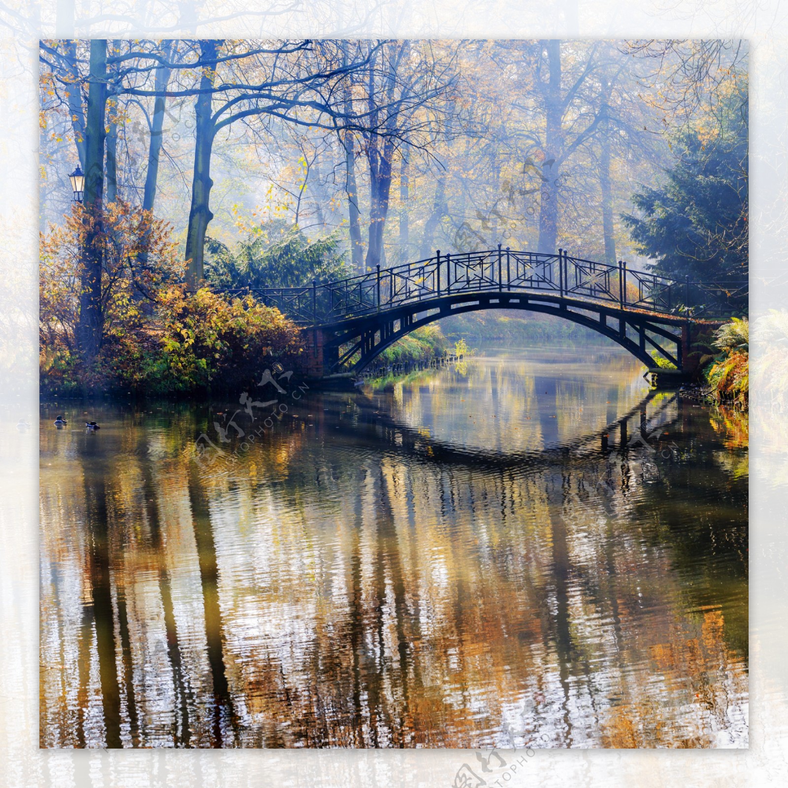 秋天树林里的拱桥
