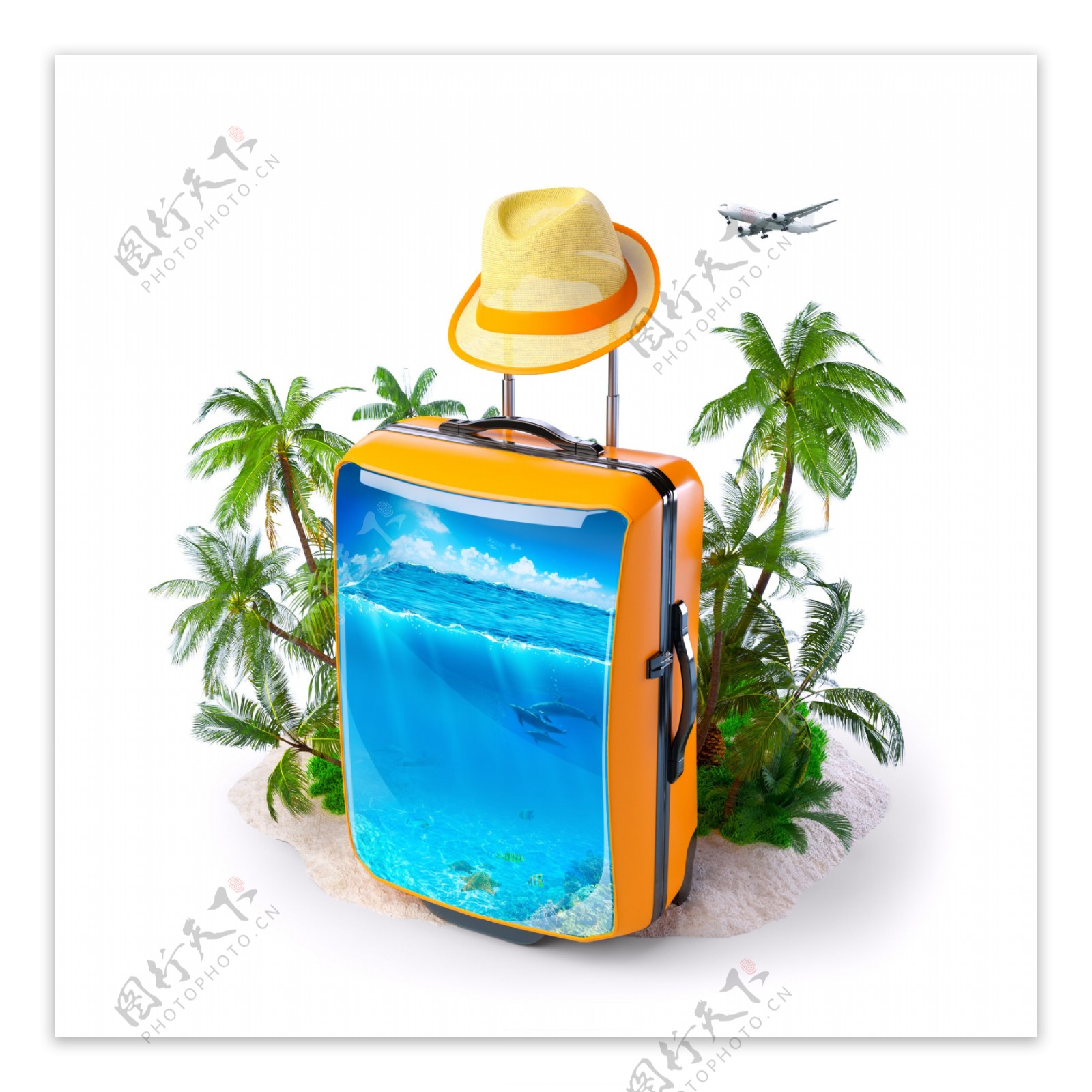 椰树与行李箱图片