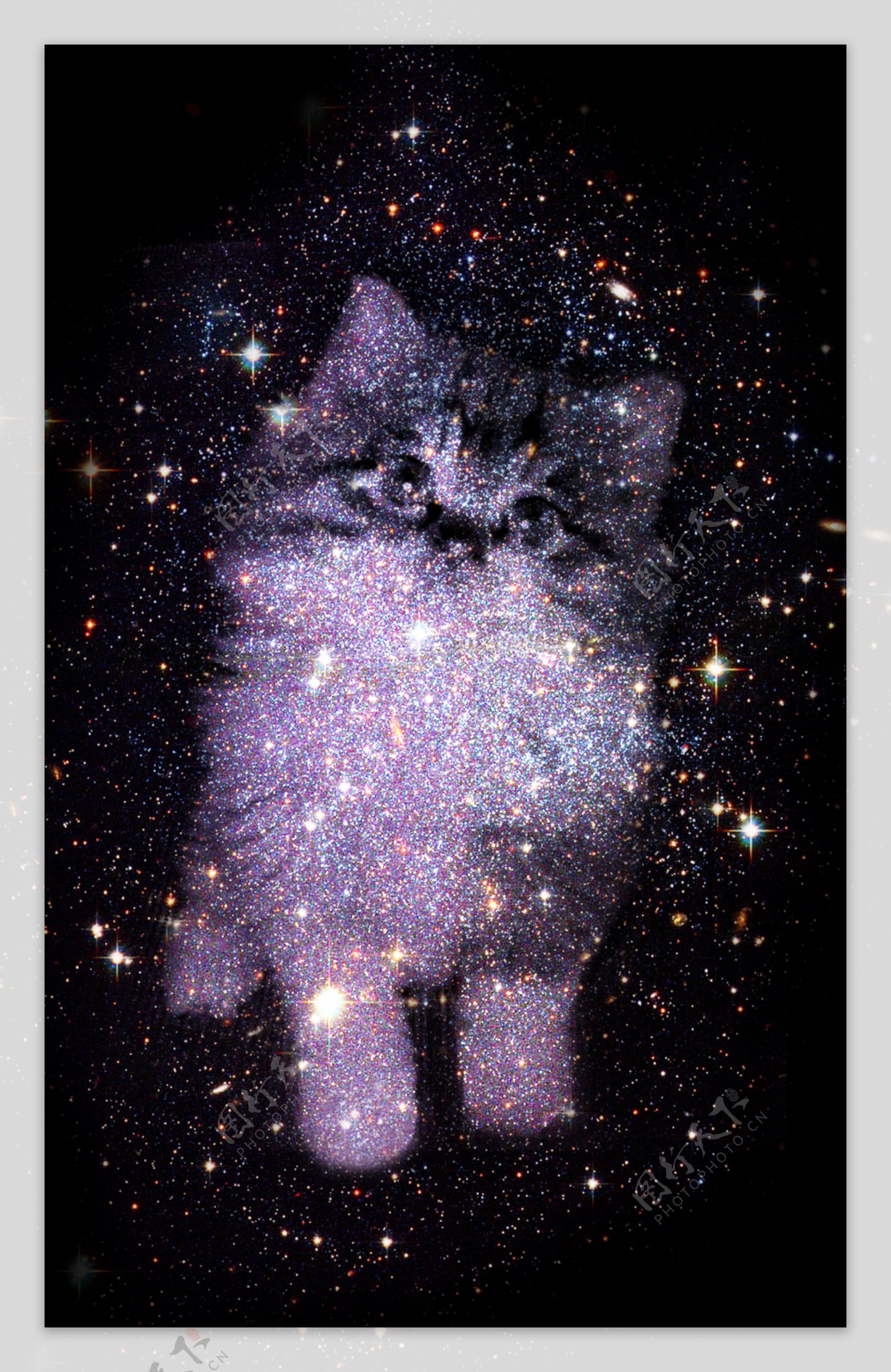 星空中的萌猫