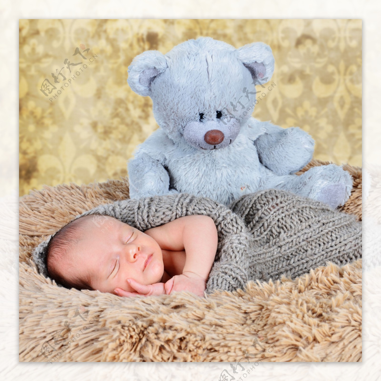 小熊与睡着的婴儿图片