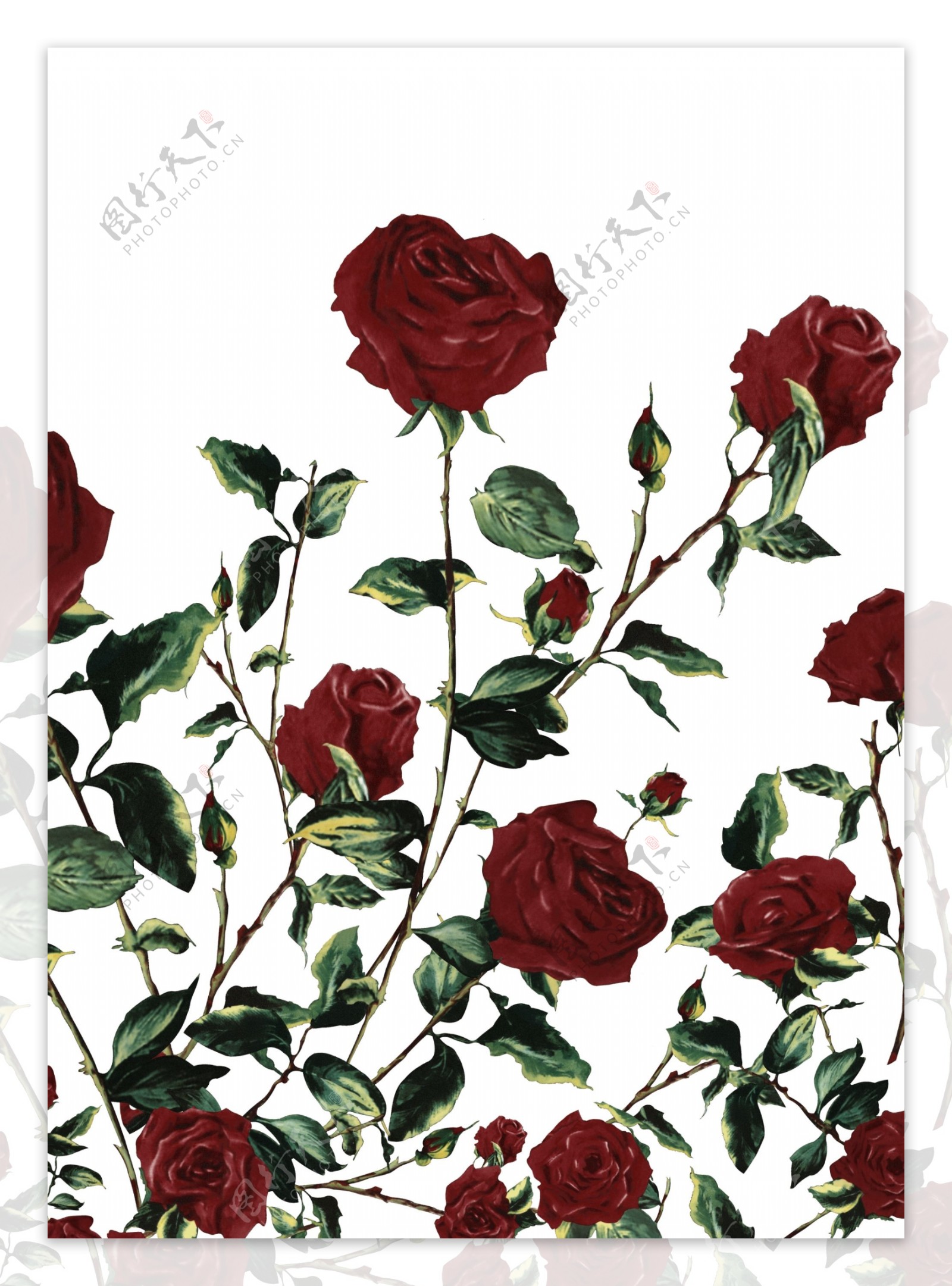 水彩玫瑰花服装图案数码印花