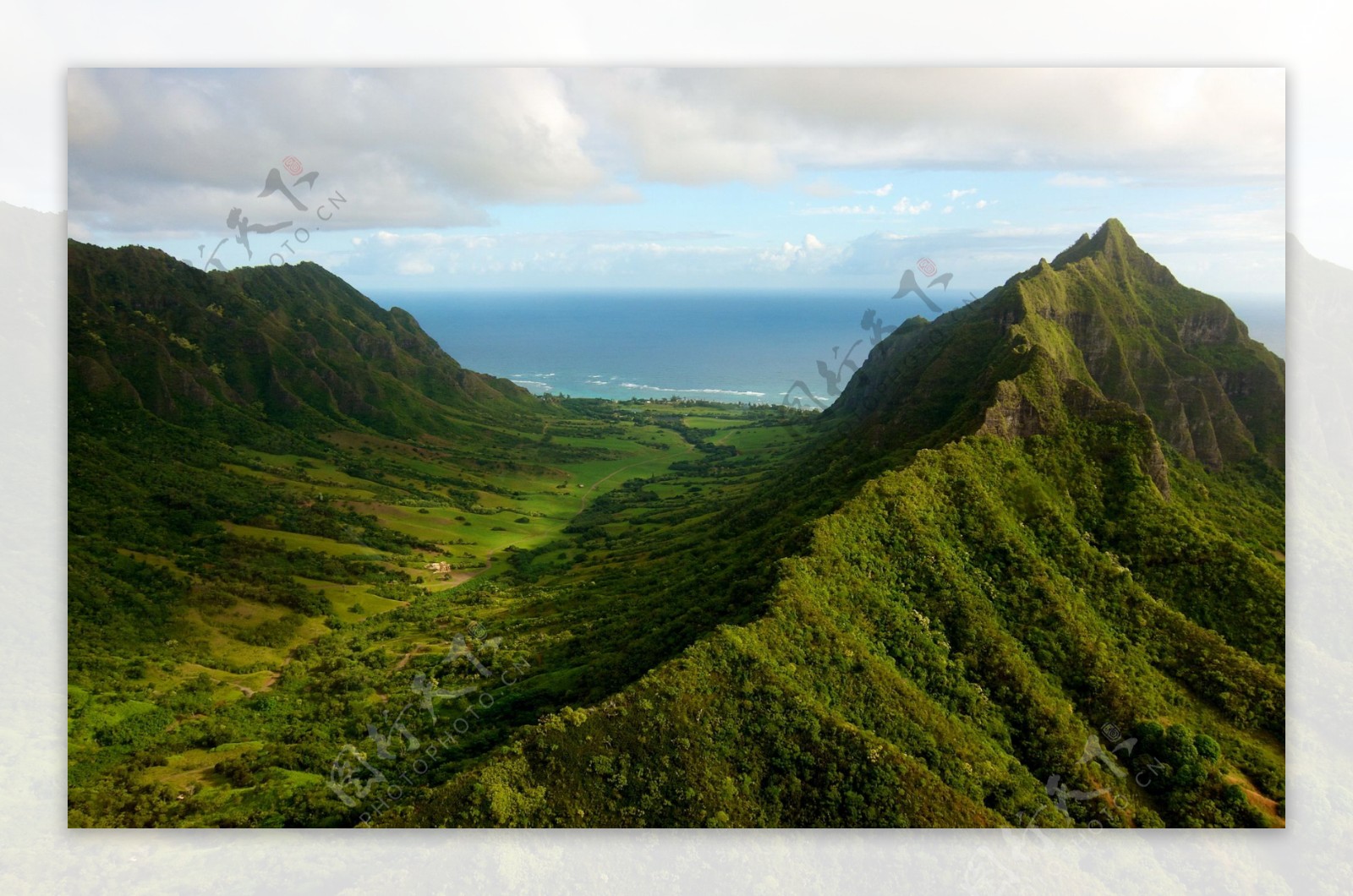 唯美的风景