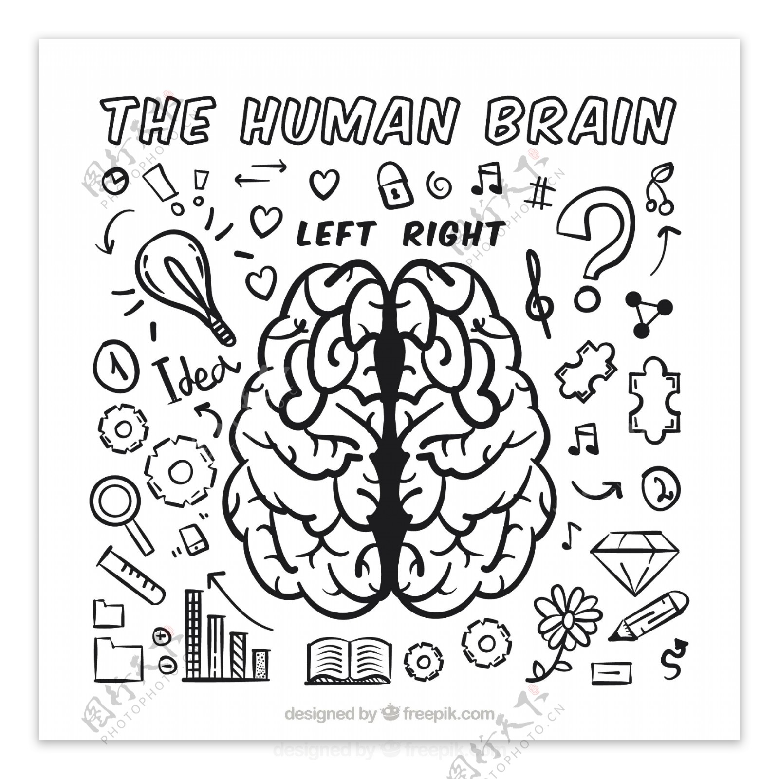 与各种各样的人类大脑的信息图表的涂鸦