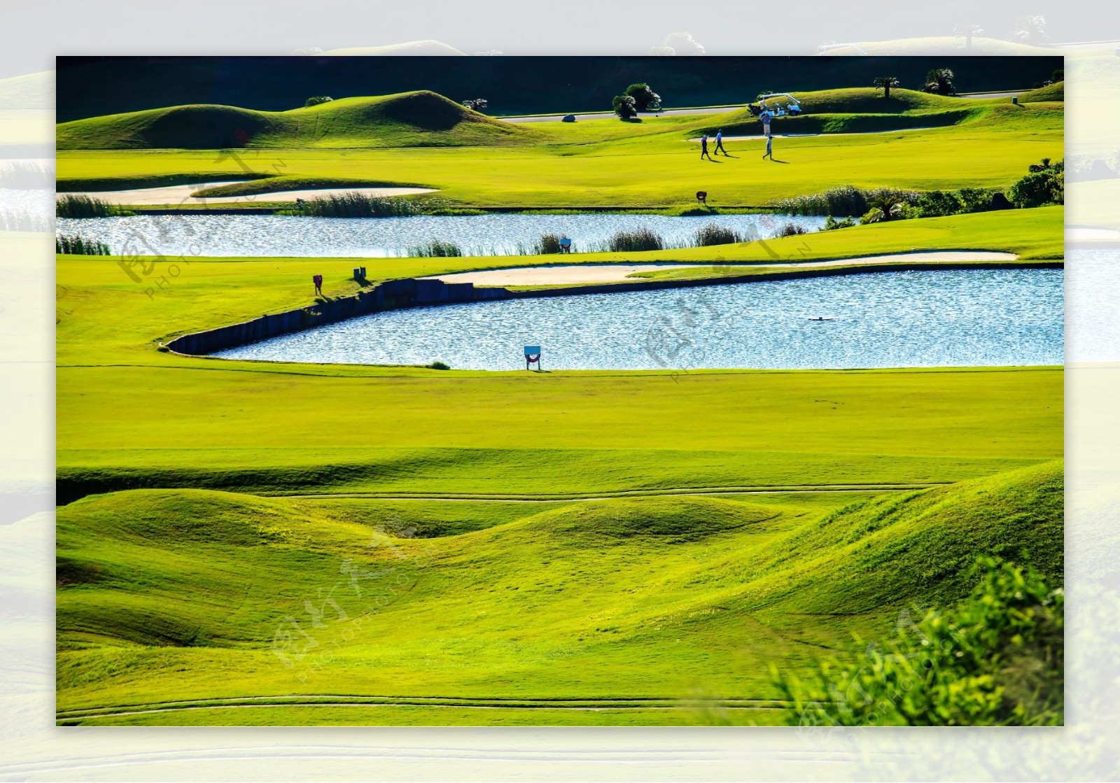 美丽的湖水高尔夫球场图片
