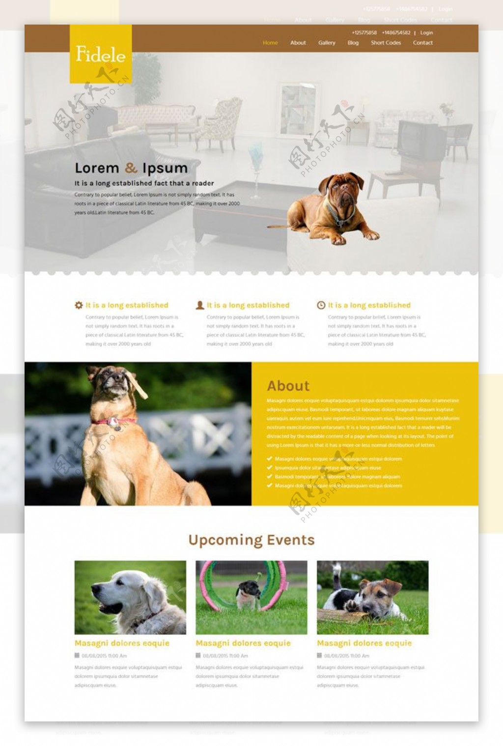 宠物乐园html网页素材