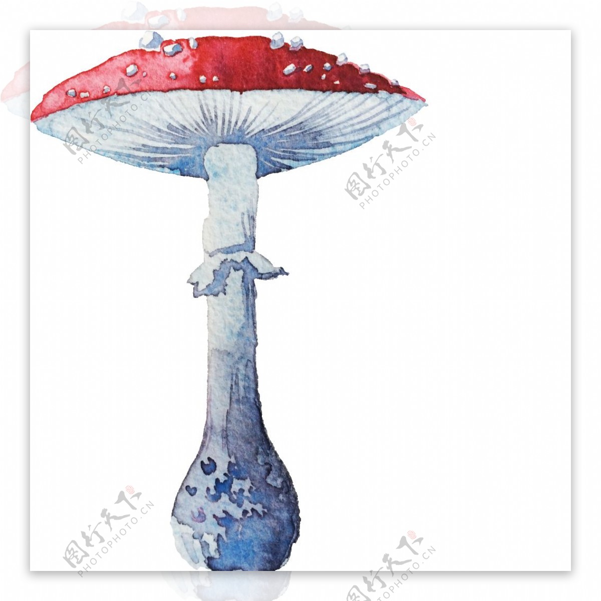 彩绘蘑菇高清素材唯美