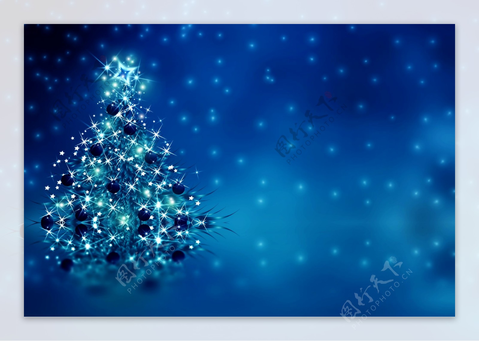 圣诞树上的星光图片