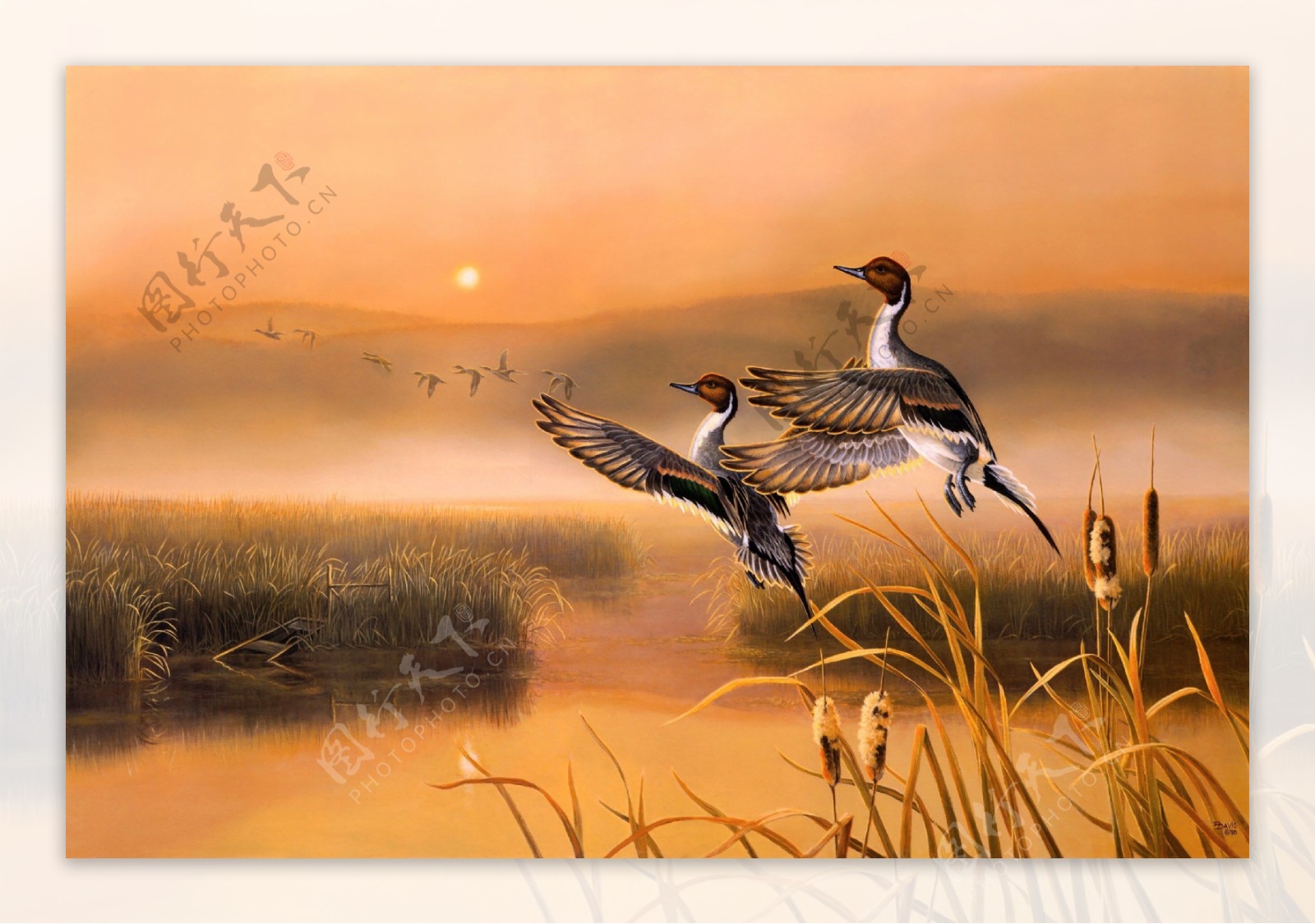 迁徙的鸟油画图片