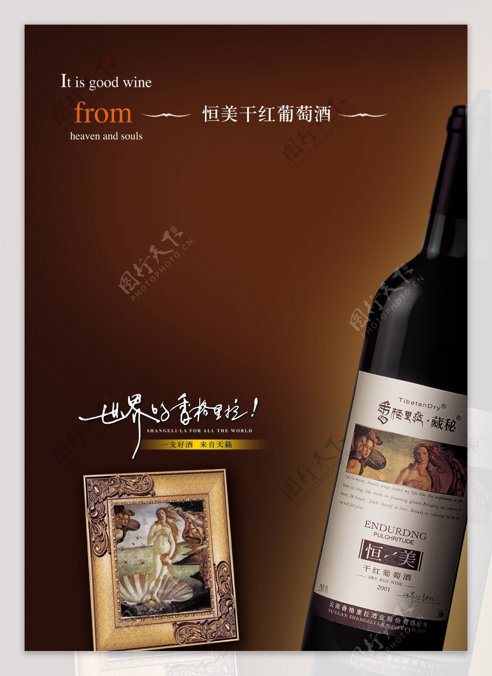 红葡萄酒海报广告设计素材
