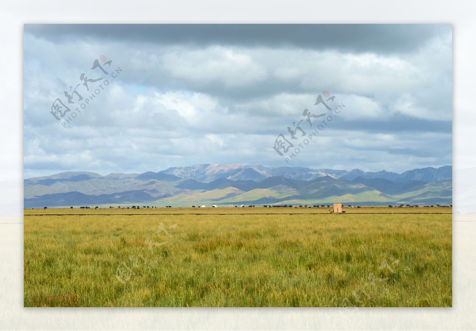 大草原风景图片
