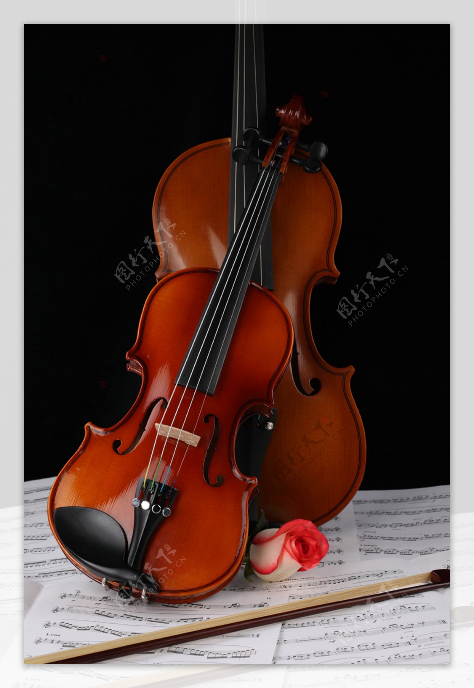 小提琴乐器与乐谱图片素材