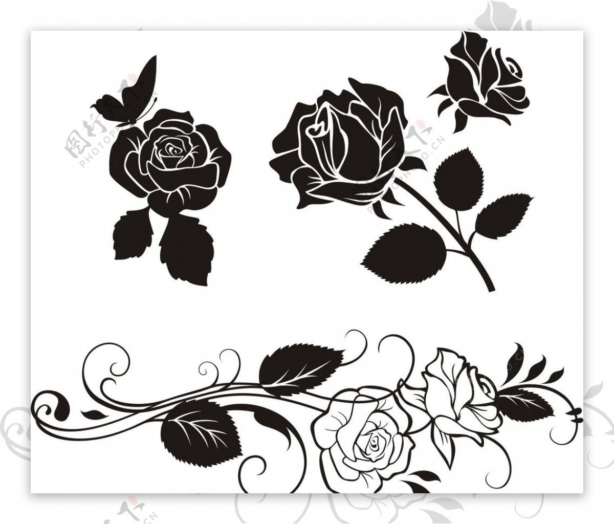 黑白玫瑰花