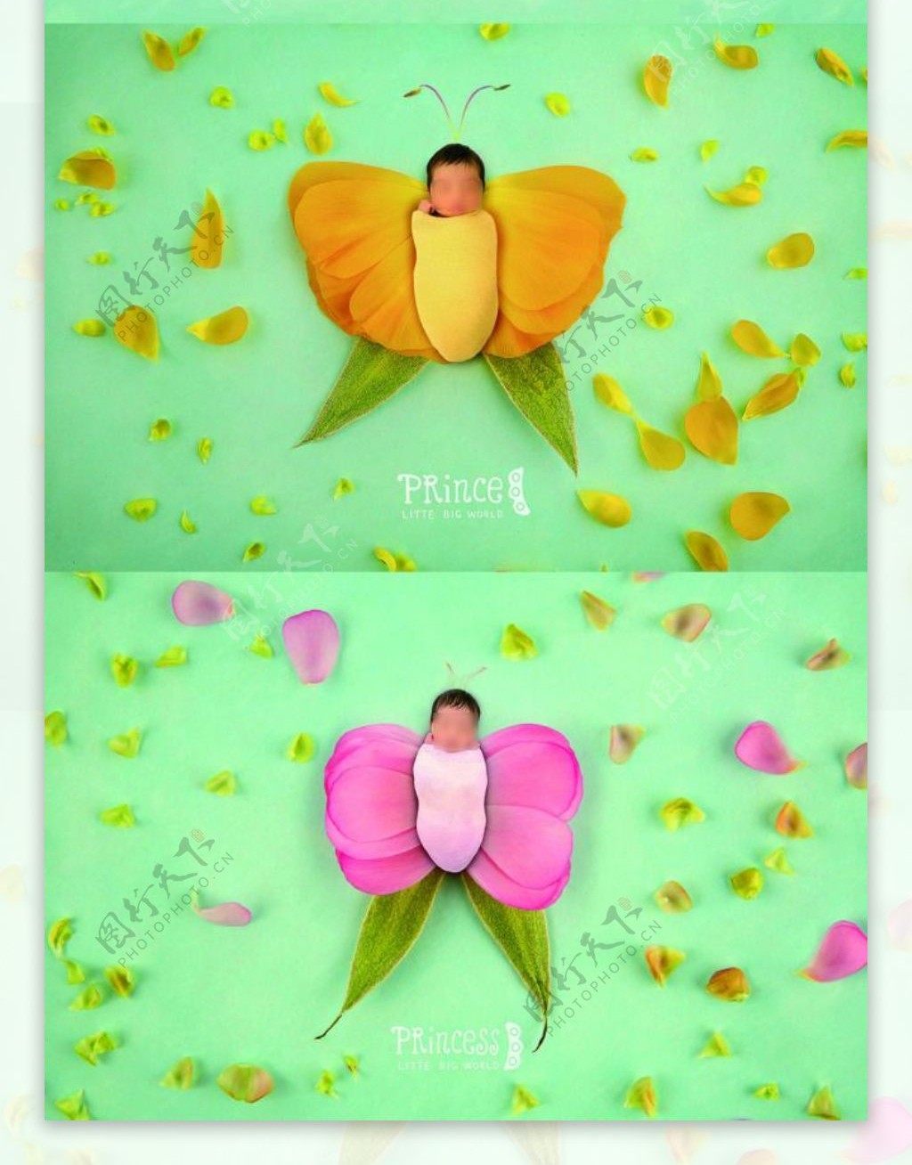 3D婴儿梦幻蝴蝶主题海报