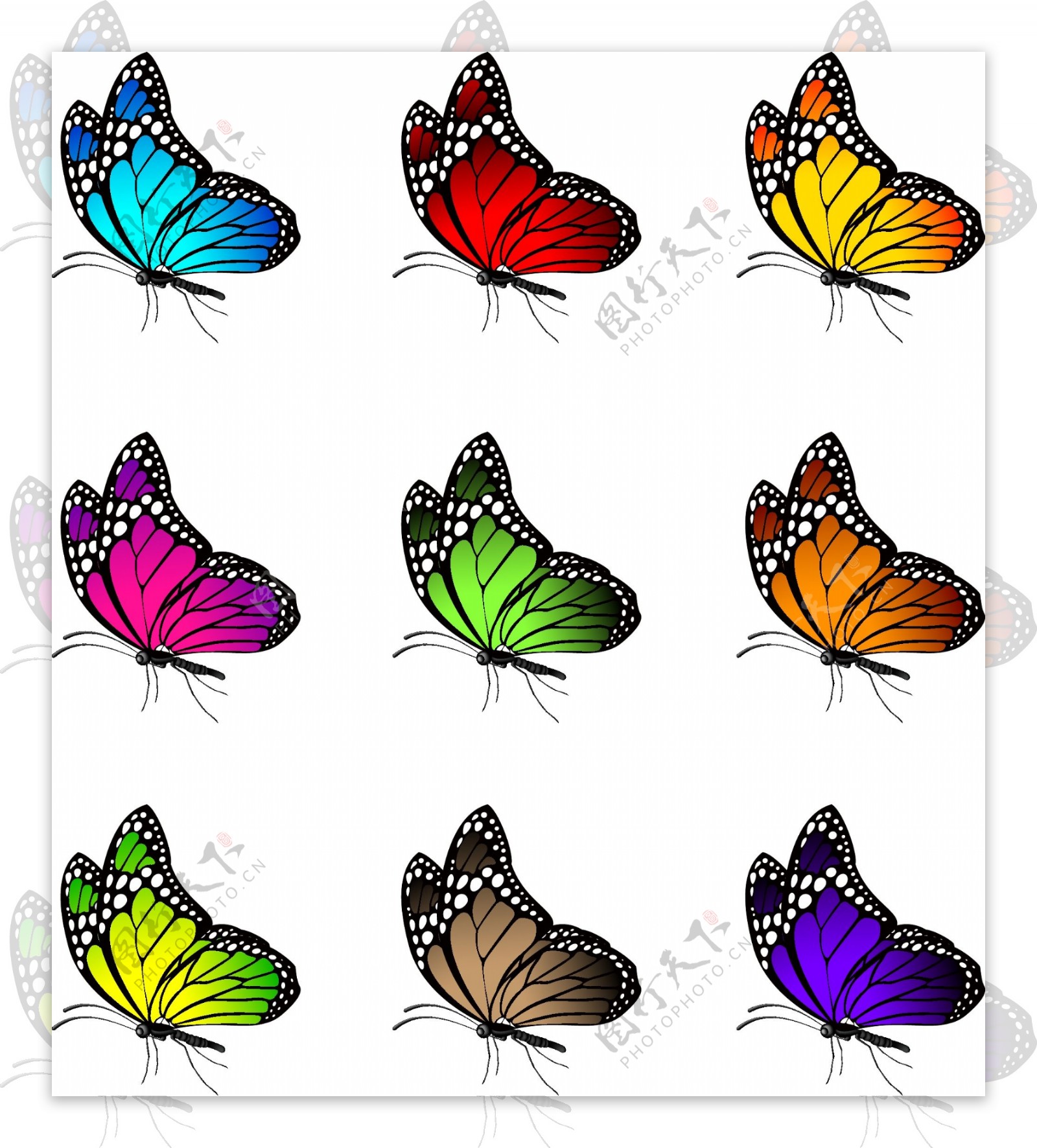 彩色蝴蝶侧面矢量素材