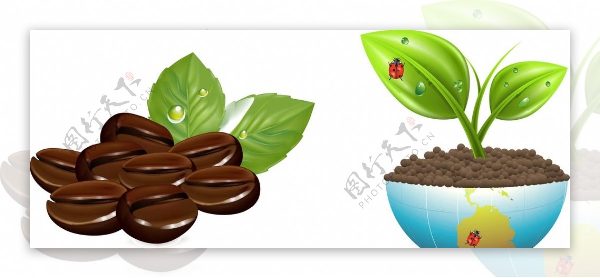 地球树苗矢量咖啡豆