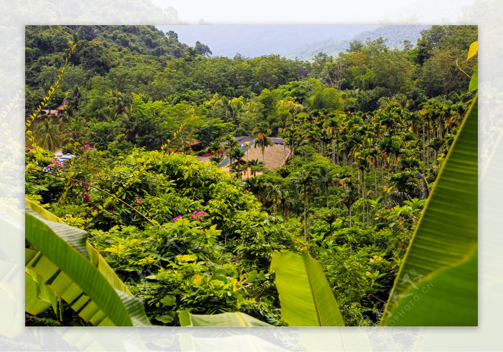 呀诺达热带雨林风景区_360百科