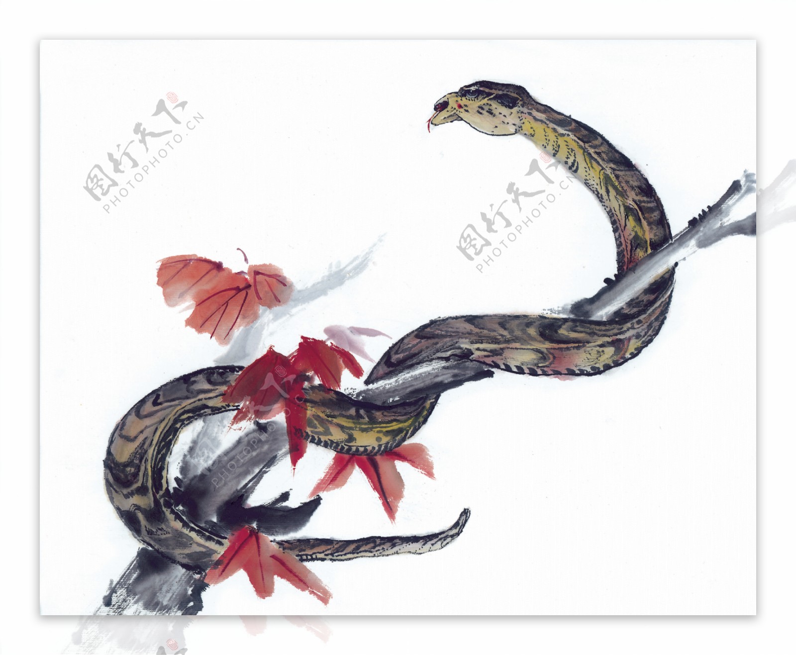 蛇十二生肖中国画0034
