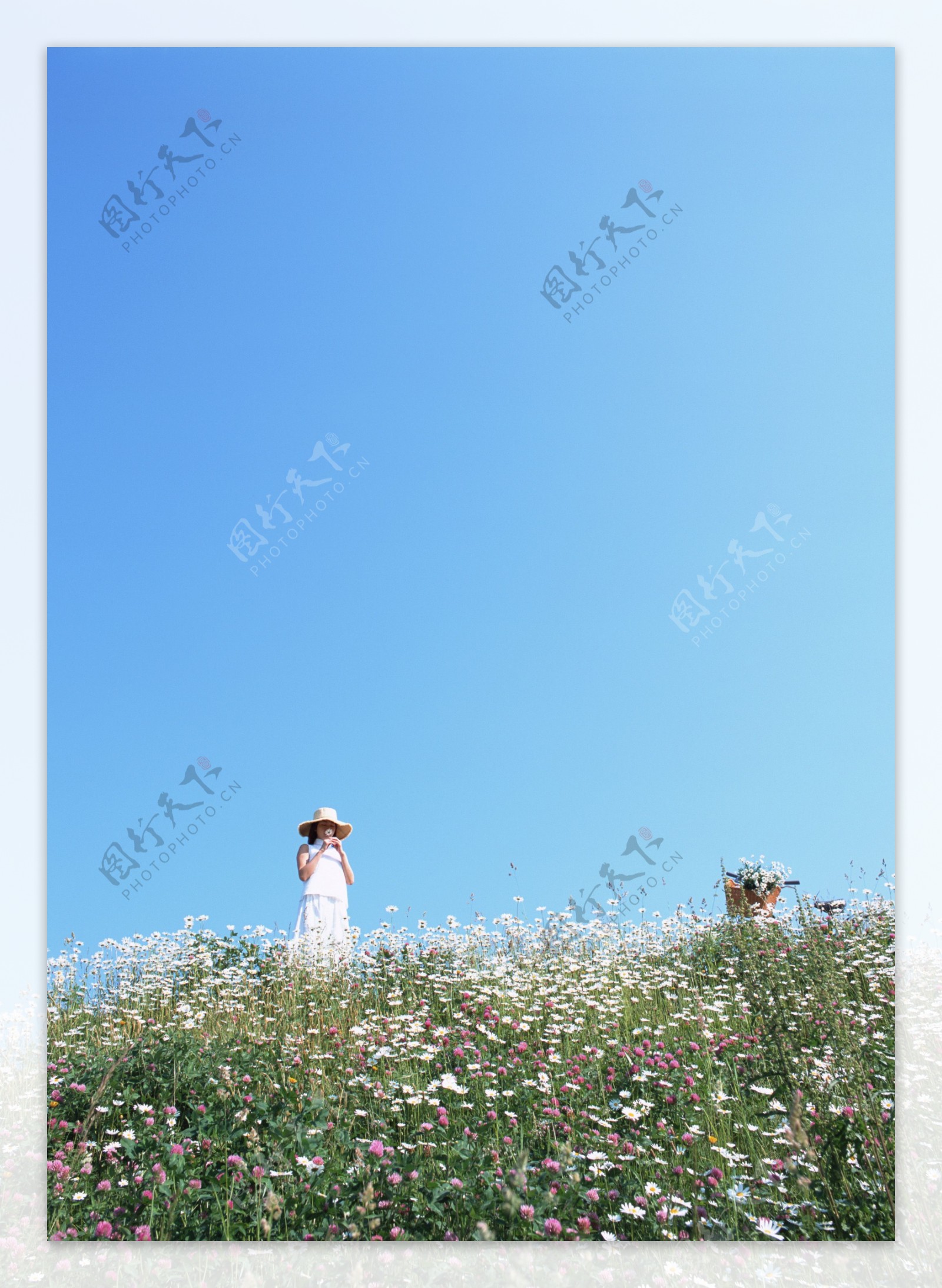 站立在花丛中的女人图片