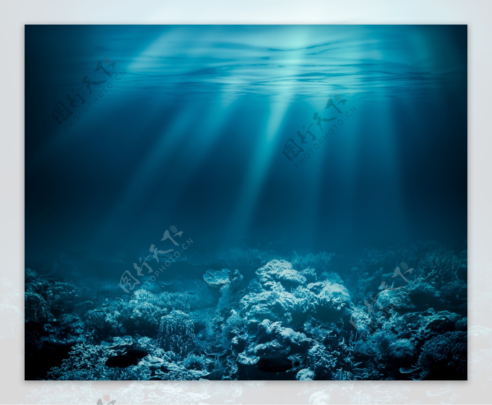 蓝色海底世界图片