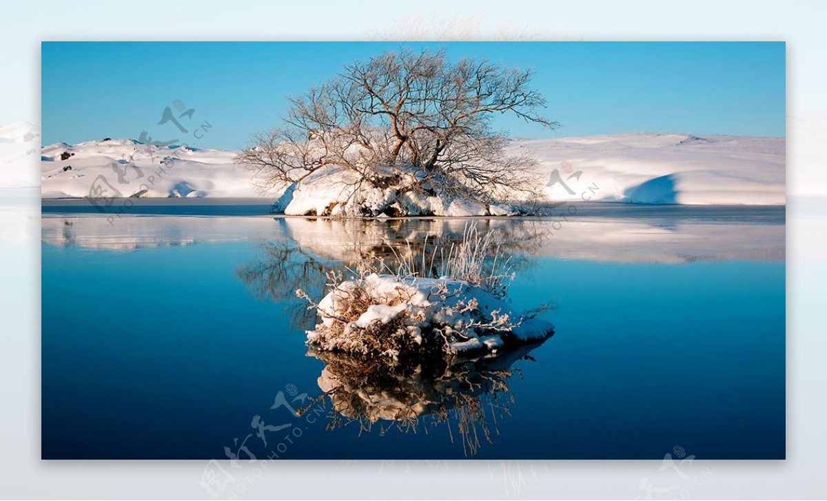 冬天树蓝天湖水反射壁纸
