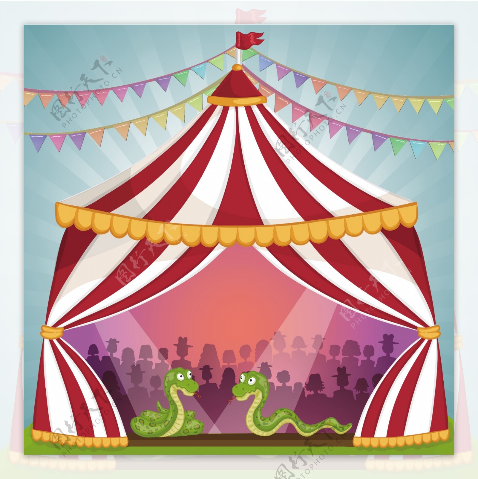 马戏团帐篷里表演的动物蛇