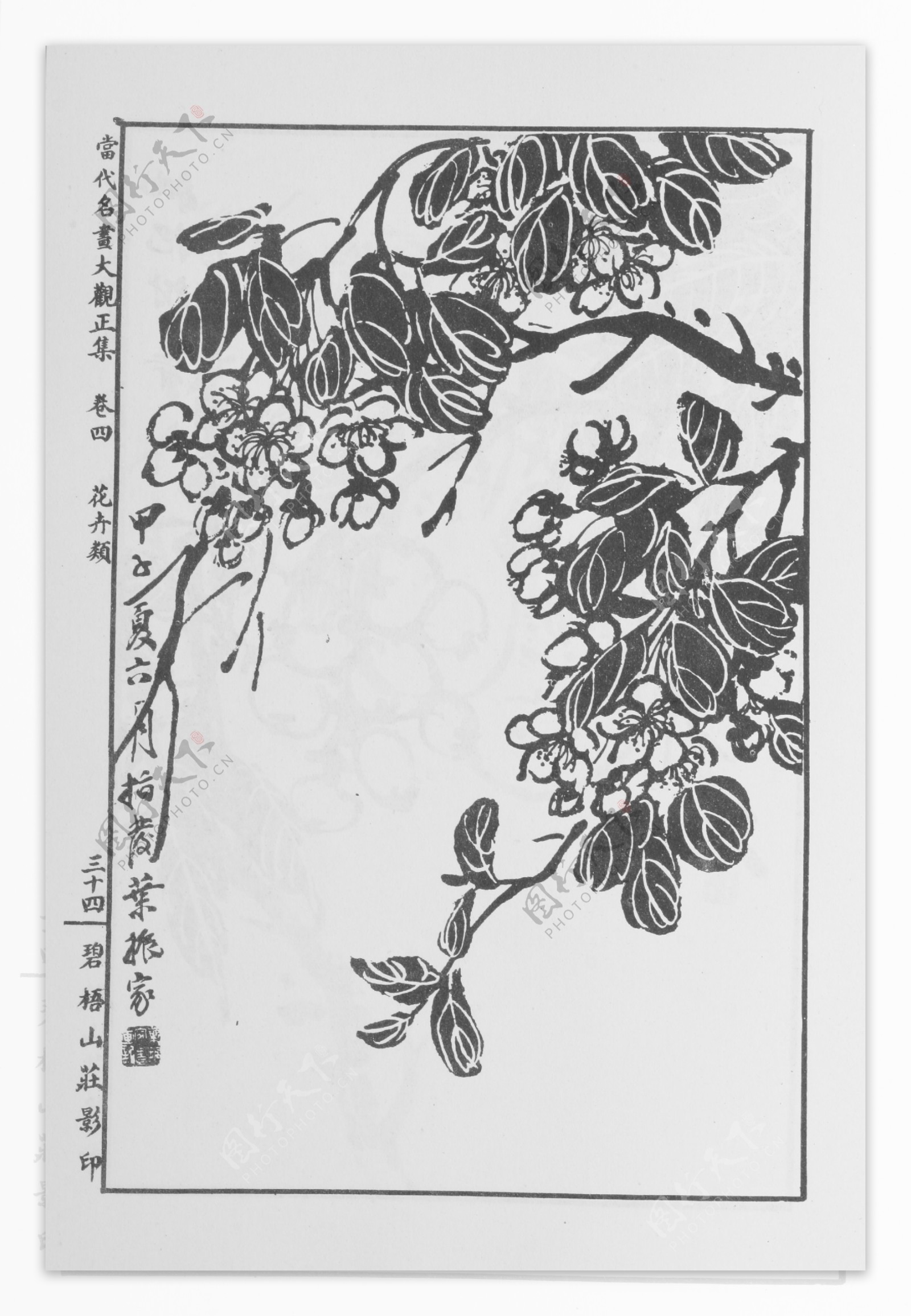 花卉画中国画当代名画大观正集10