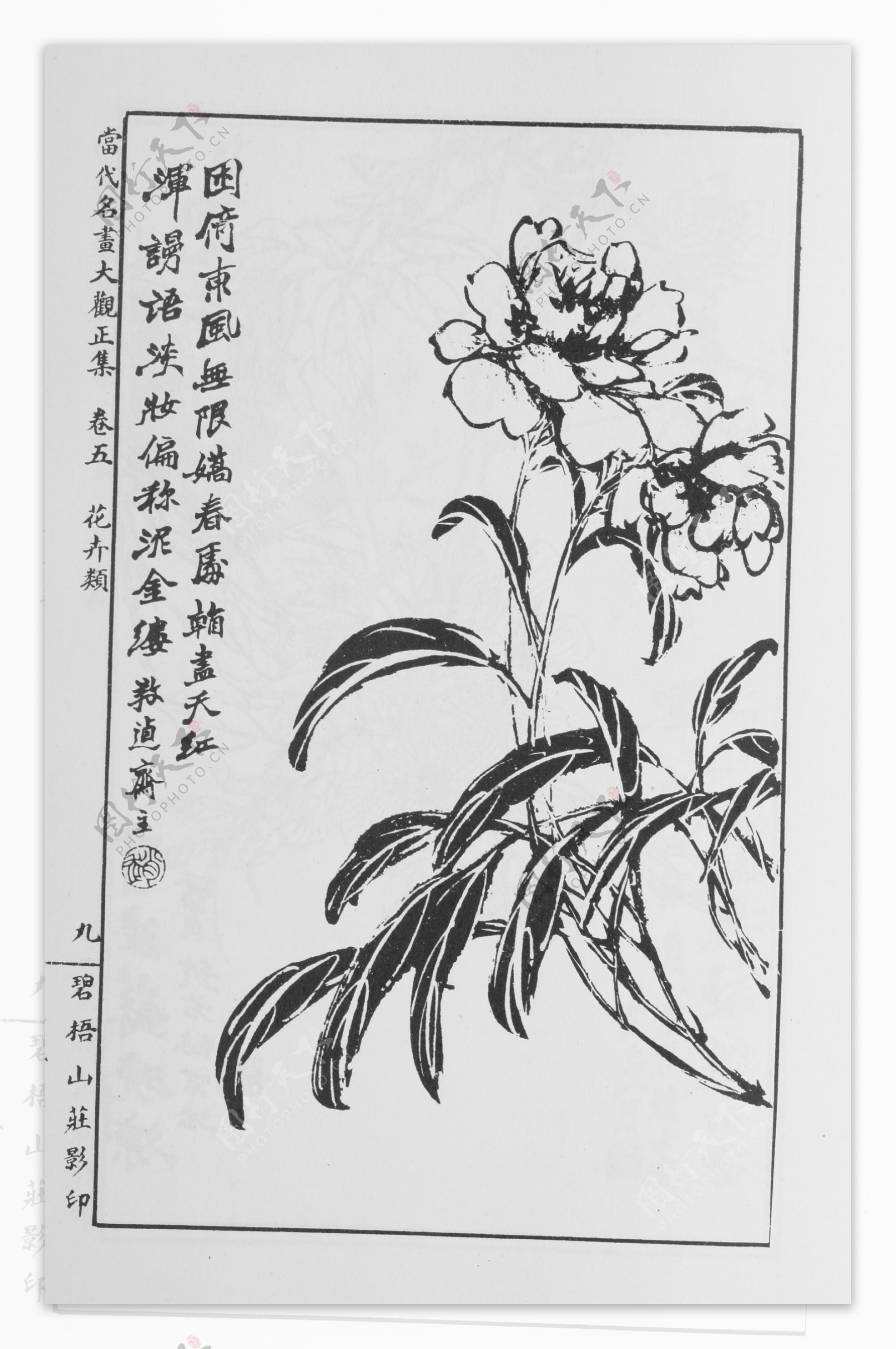 花卉画中国画当代名画大观正集20