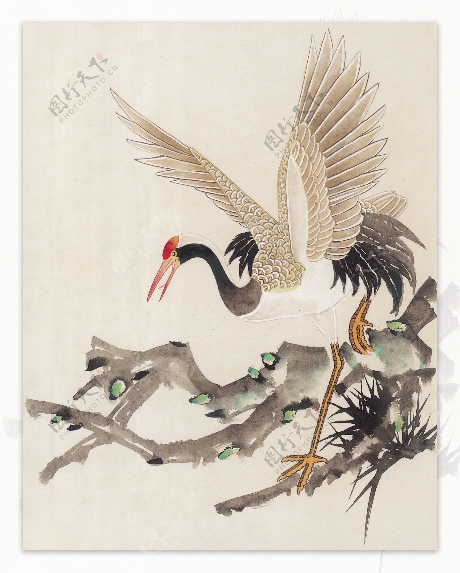 花鸟中国画46