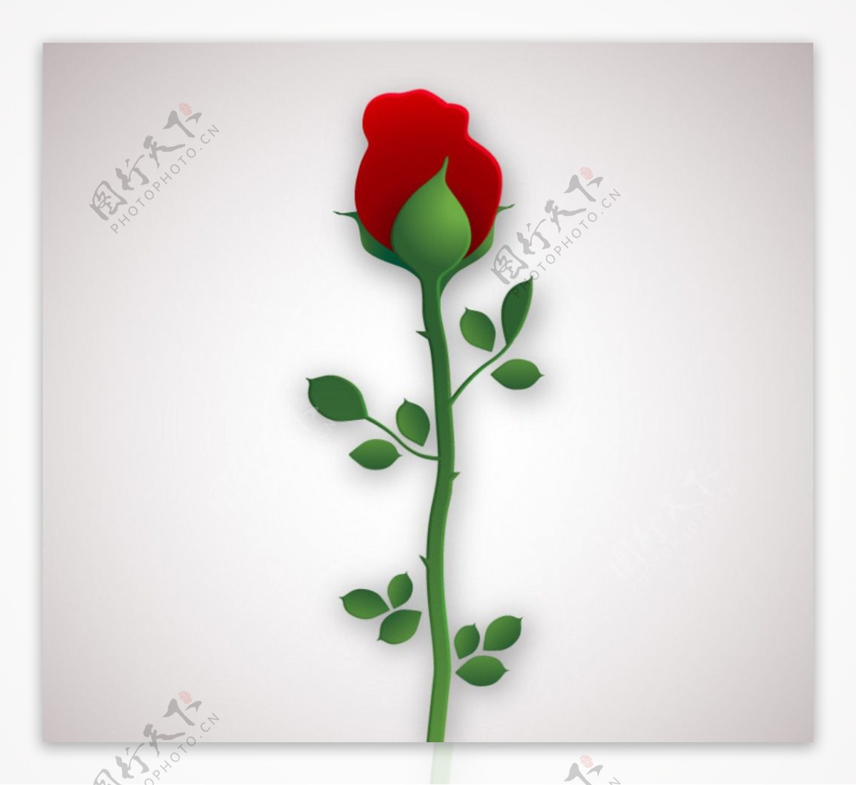 单枝红玫瑰花矢量素材