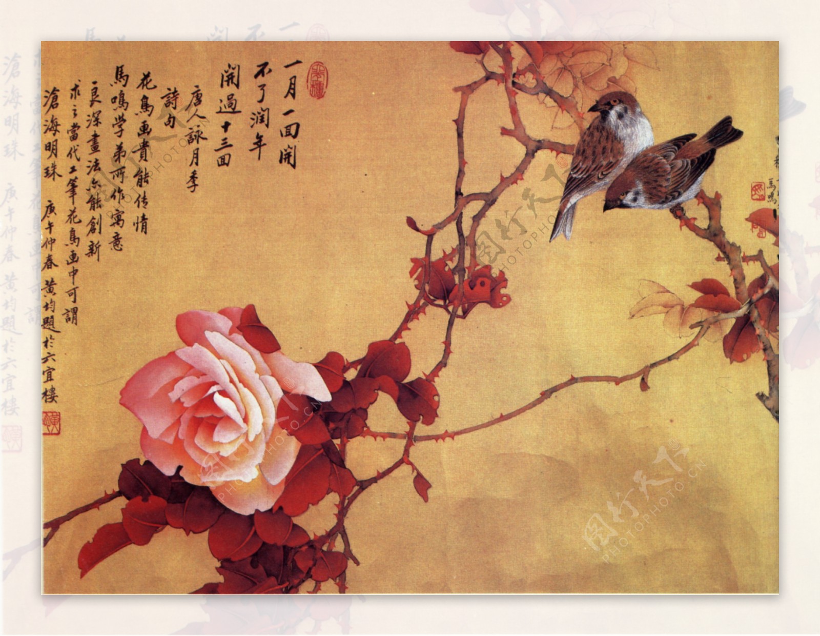 中国画花鸟200x150