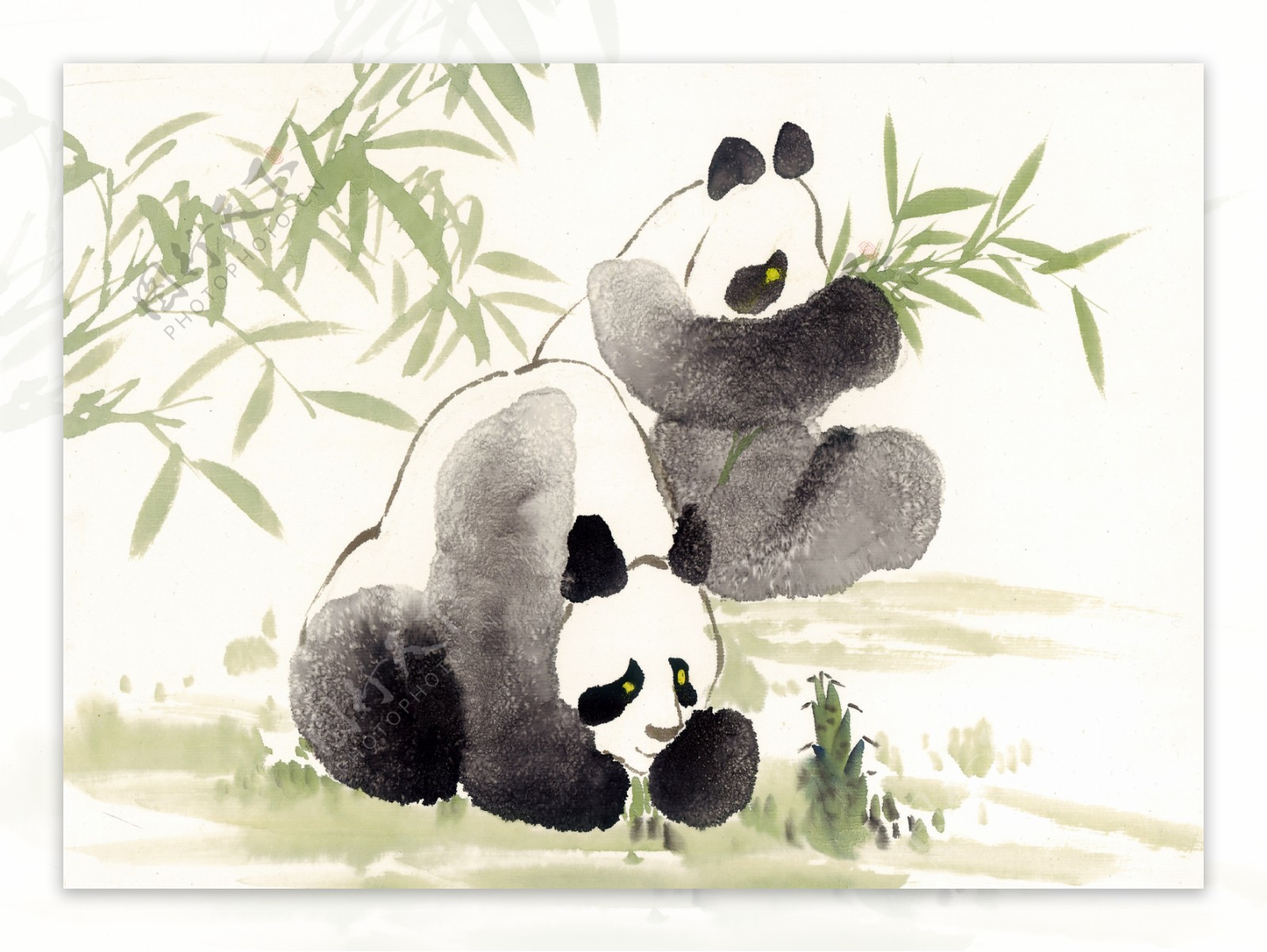 熊猫写意动物画国画0030