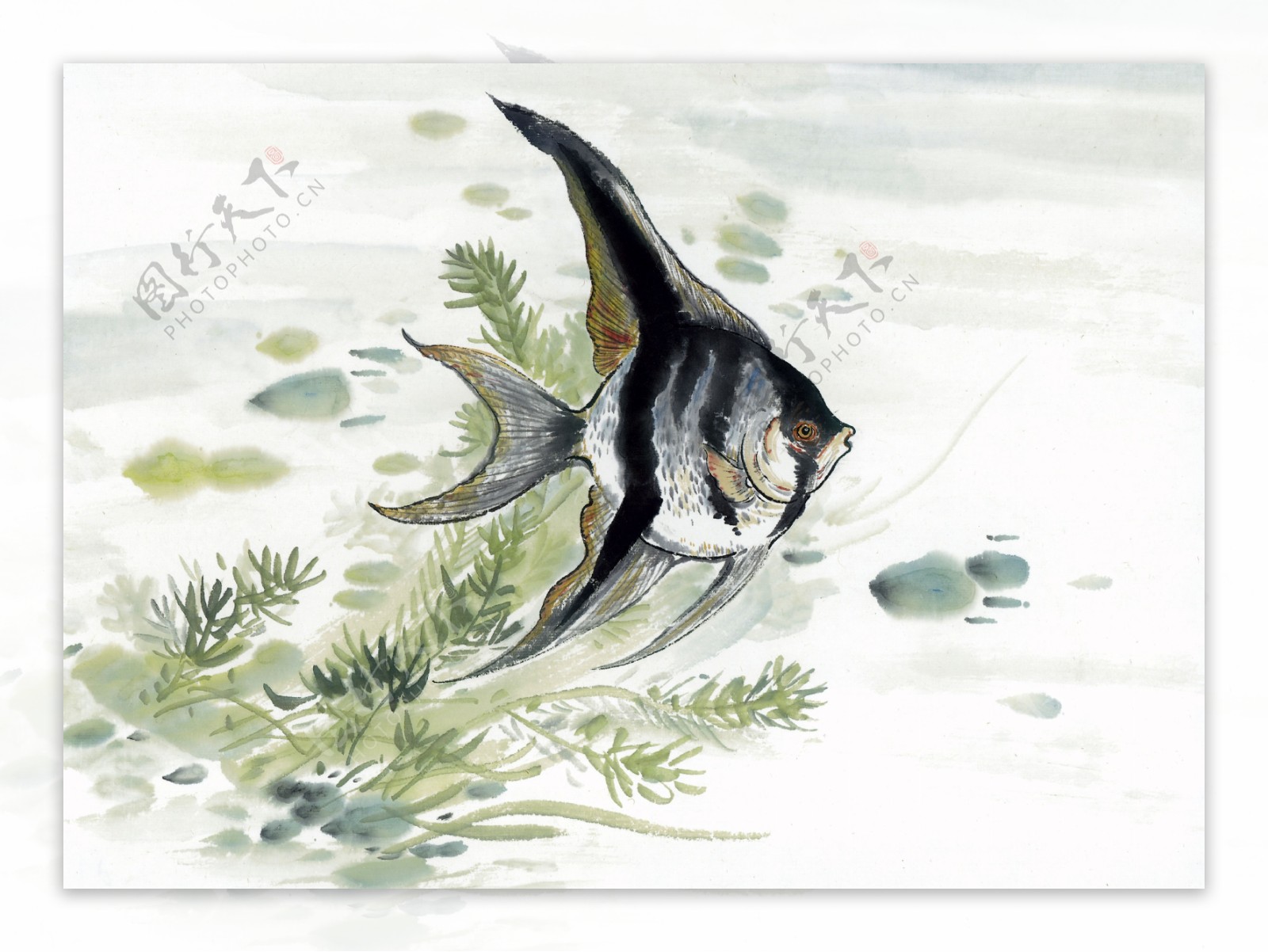 热带鱼写意水族国画0191