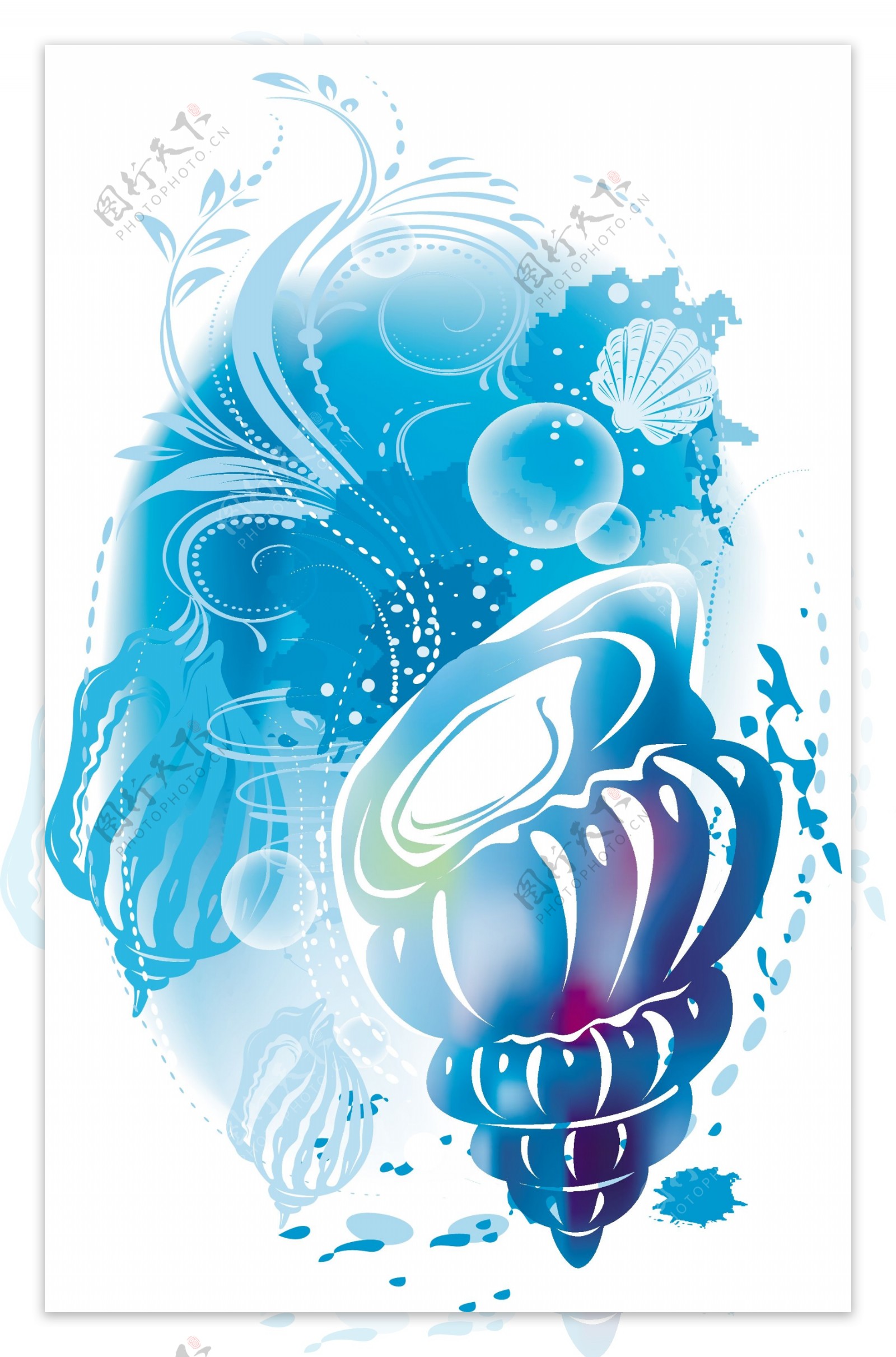 彩绘海螺
