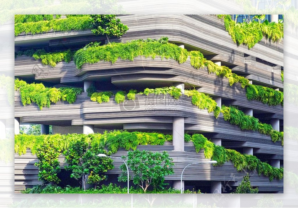 布朗建设覆盖绿色植物