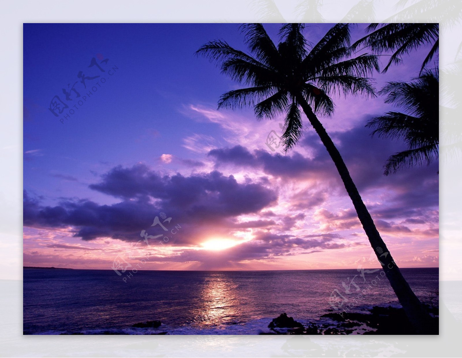 高清紫色海边美景图片